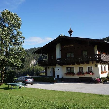 ホテルGastehaus Soldanella ラムサウ・アム・ダッハシュタイン エクステリア 写真